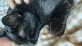 IMG_1260.jpeg