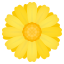 1774084557911.png