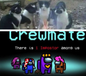 Screen Shot 2026-03-25 at 6.04.26 PM.png