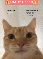 1775530850811.png