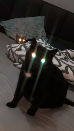 1775576336778.png
