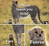 i are fierce.jpg