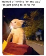 1776012649727.png