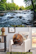 river flowing I took that personally.jpeg