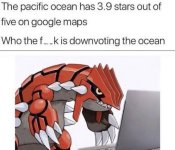 1000036937.jpg
