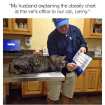 1776403199275.png