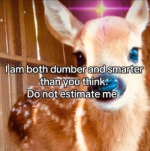 1000036648.png