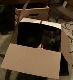 IMG_0140.jpeg