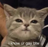1776577074357.png