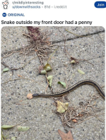 1776647917780.png