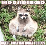 apnfdb.jpg