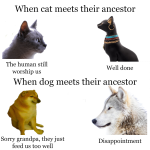 5ixacd9uu6a81.png