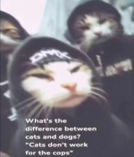 1777258002128.png