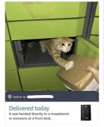 IMG_0321.jpeg