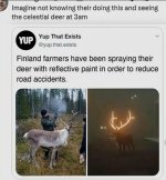 1000106356.jpg