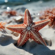 rrrrrrrrrrrrrrrrrrrrrrrrrrrrrr