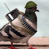 Mrpigeon