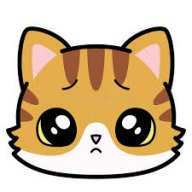 LadyKitty