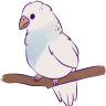 LitrpgBird