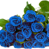 99blueroses