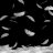 featherrain