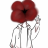 Wilted_Poppy