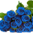 99blueroses